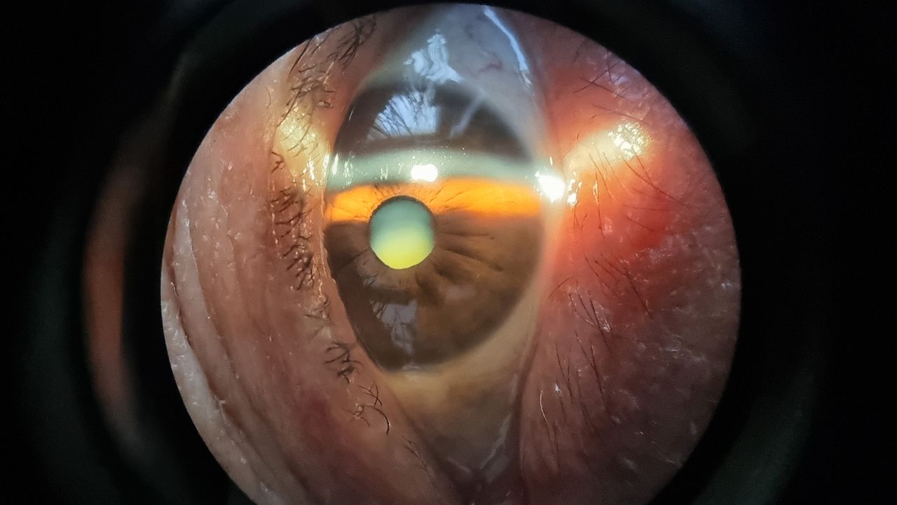 Iliana Peñaloza Román-0