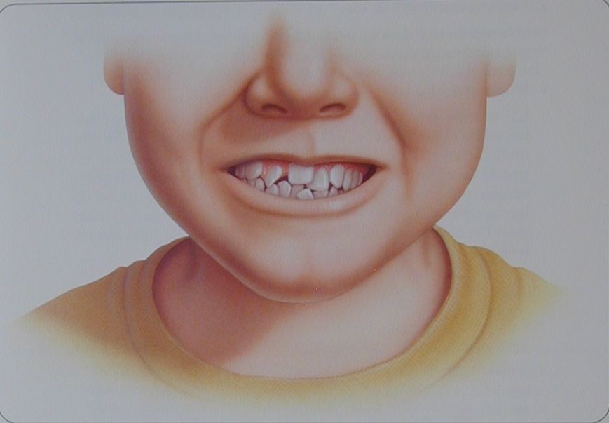 Javier Ibáñez Brambila-8