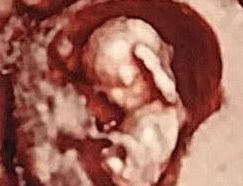 Griselda Reyes Torres-16