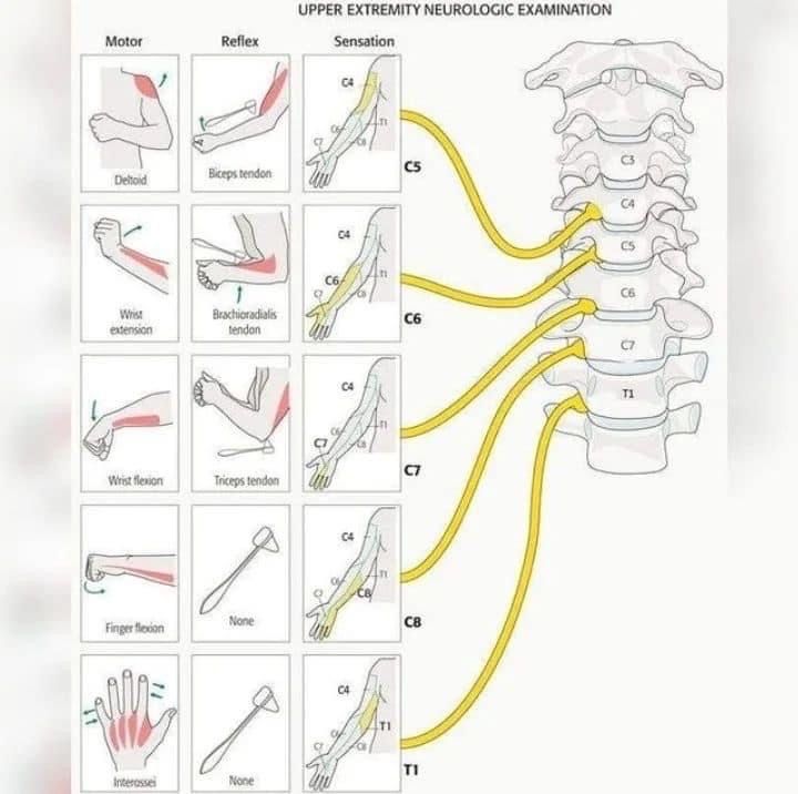 Michelle Omar Calderon Sánchez-5