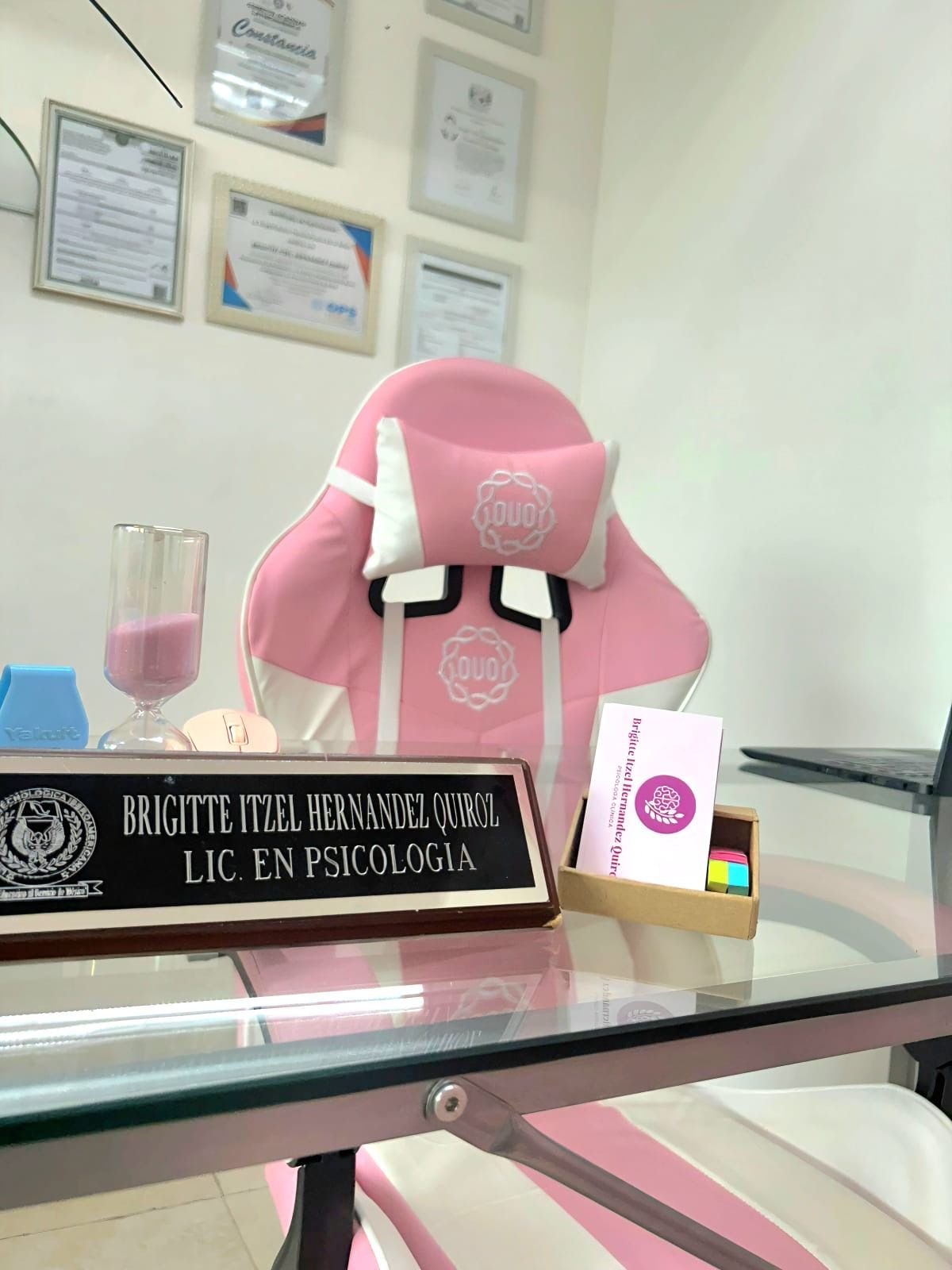 Brigitte Itzel Hernandez Quiroz-2