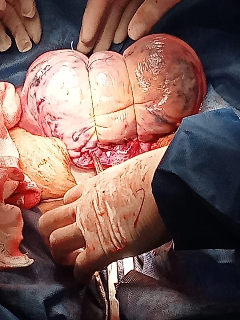 Amairani Yaneiri Mercado Rivera-5