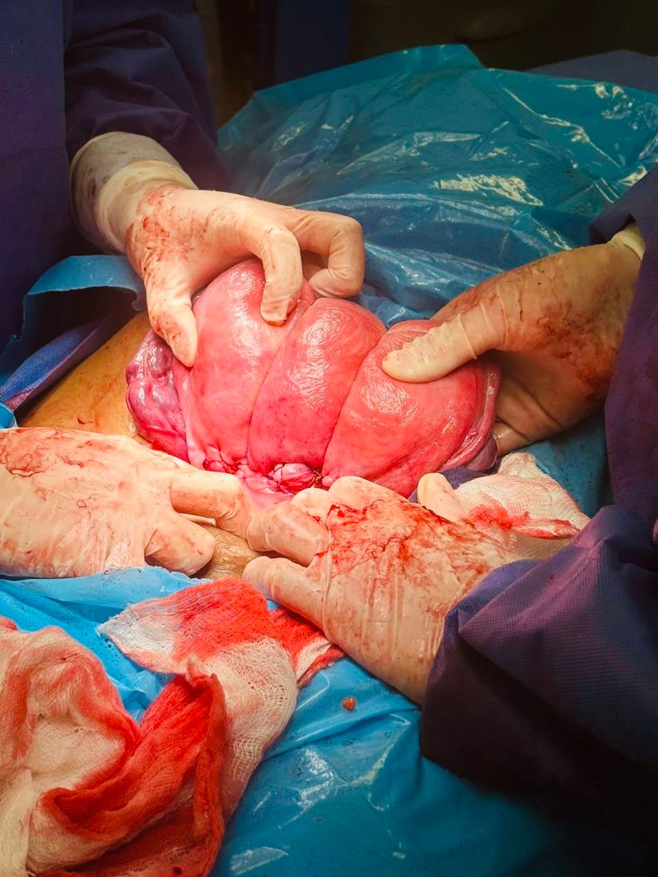 Amairani Yaneiri Mercado Rivera-14