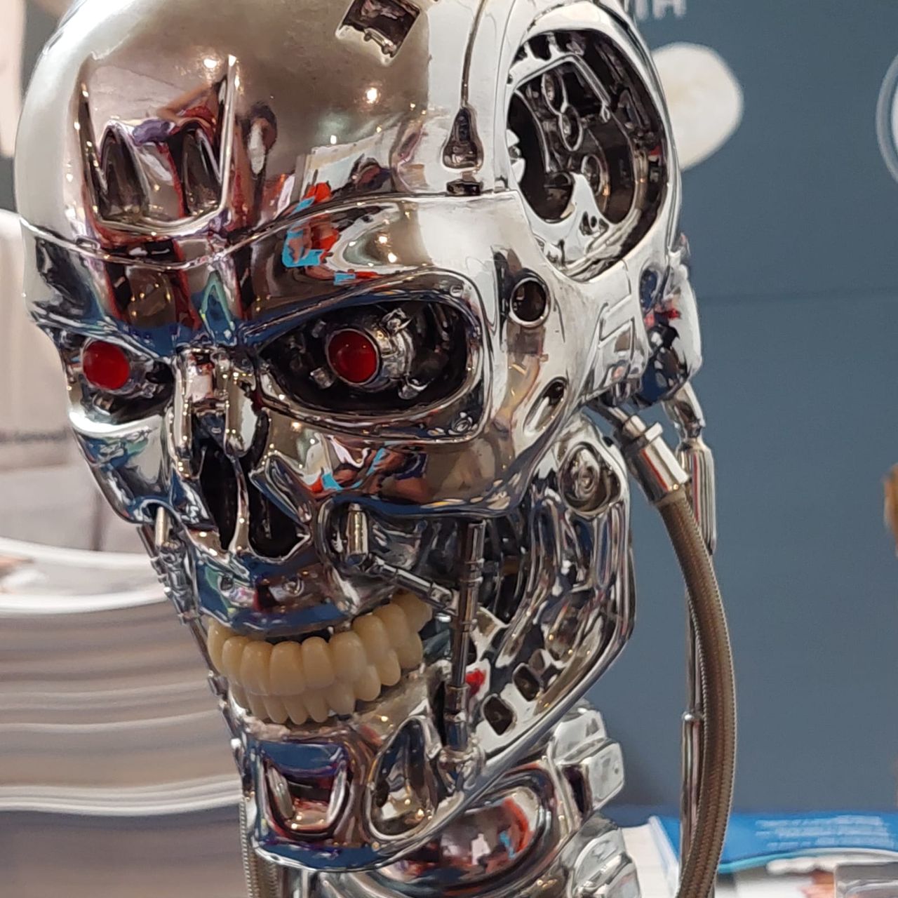 Luis Fernando Galicia Chacón-10