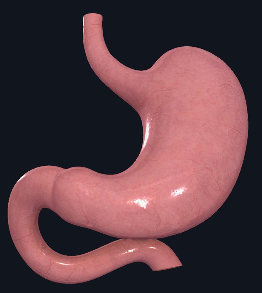 Mateo Ponciano Guerrero-31