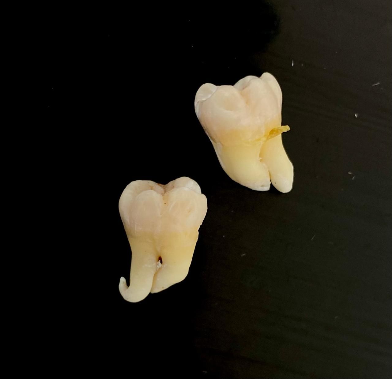 Maryadalma Vásquez-11