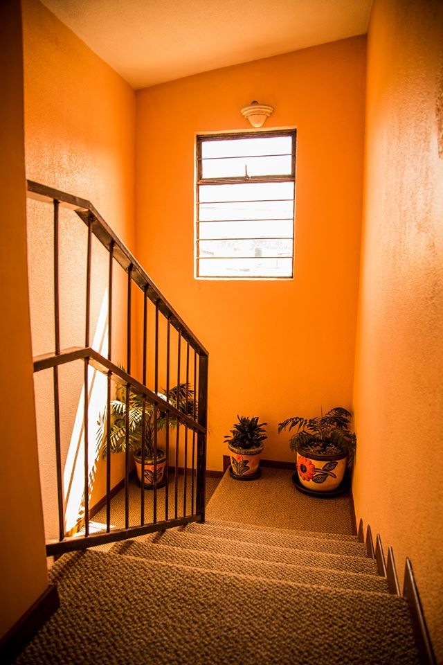 Alejandra Hernández G.-10