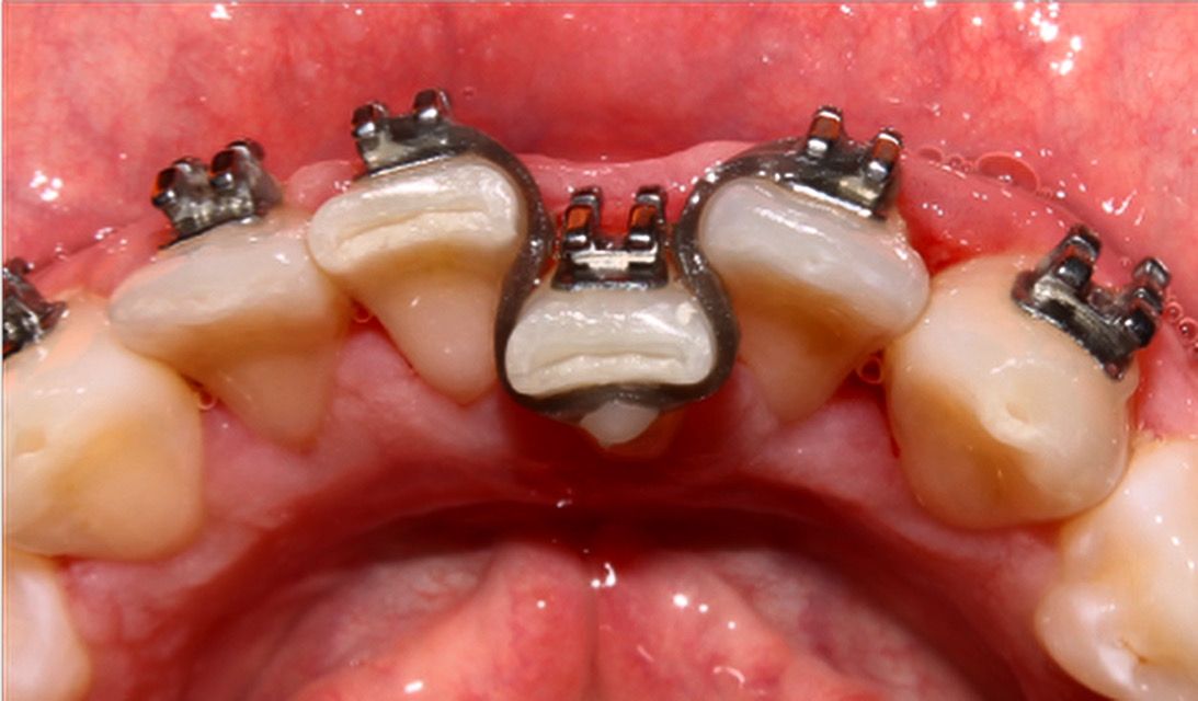 Maria José Hernández Moreno-2