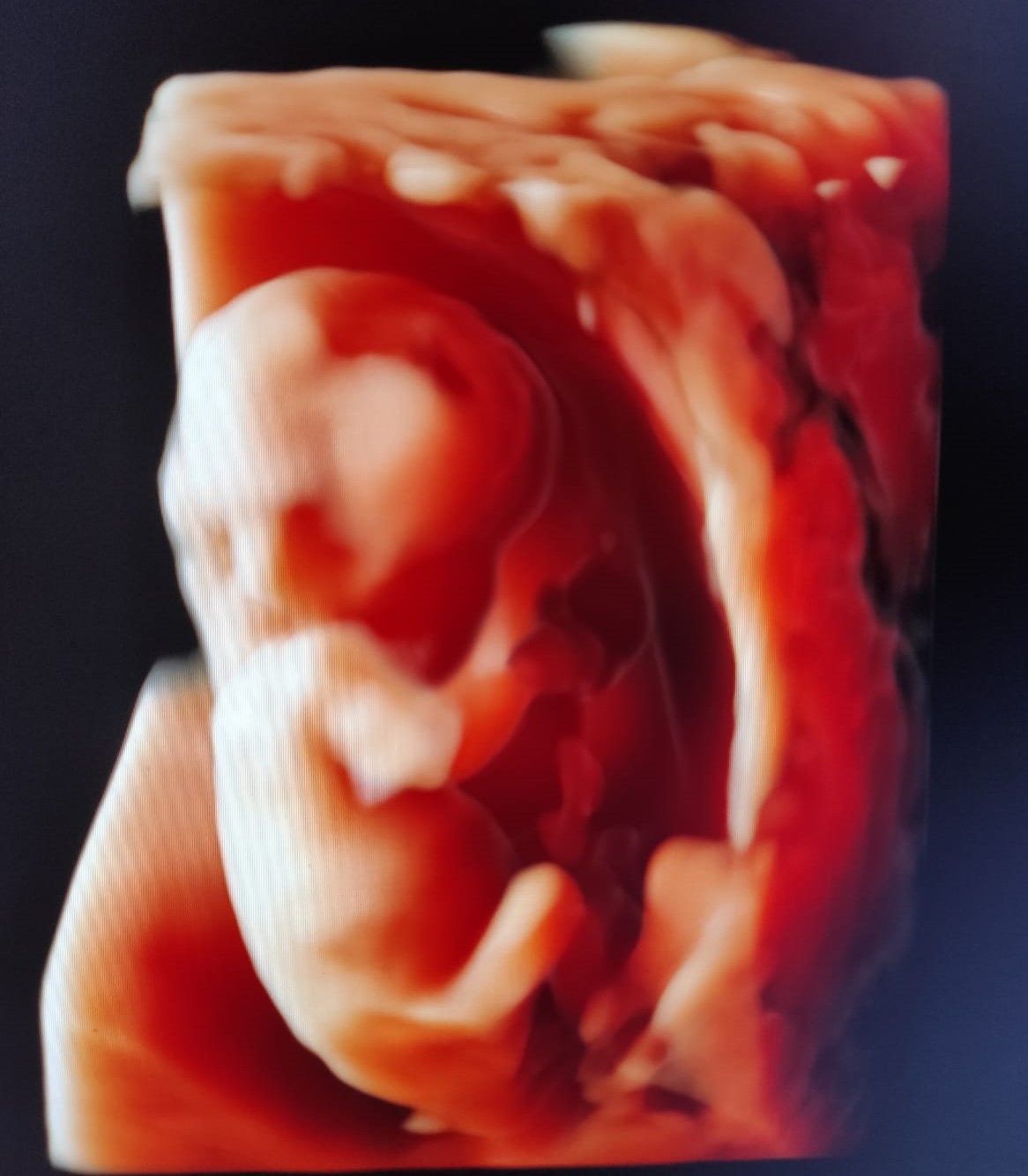 Miguel Angel González Nazar-4