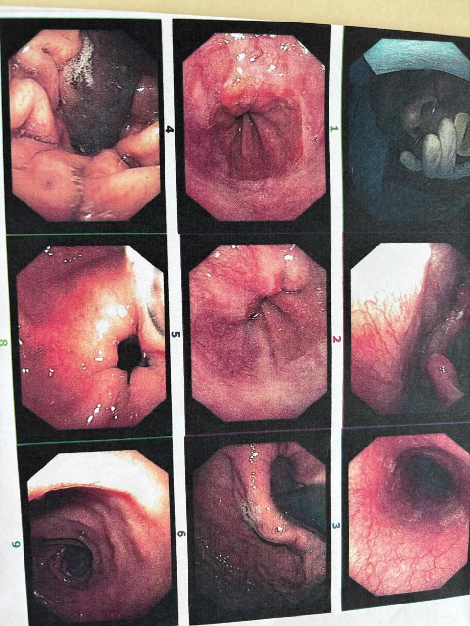 Angelica Gutierrez Chavez-2