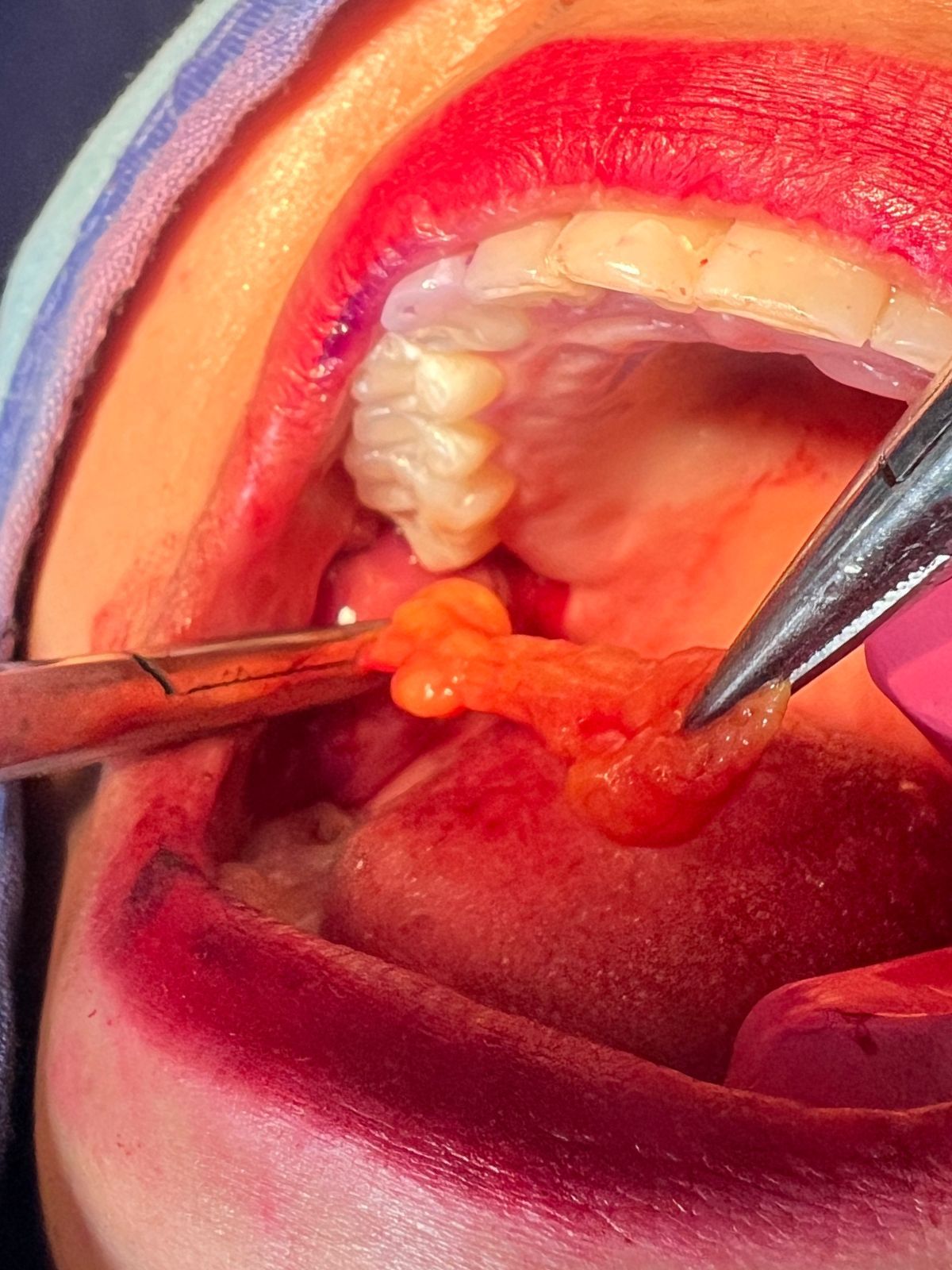 Jair Contreras García-5