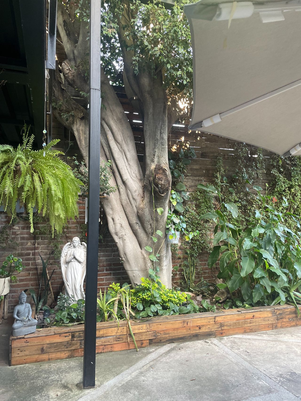 Melissa Sharpe Calzada-1