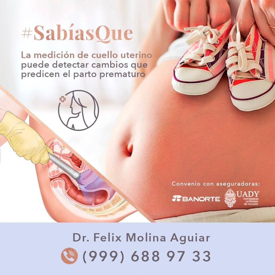 Félix José Molina Aguiar-36