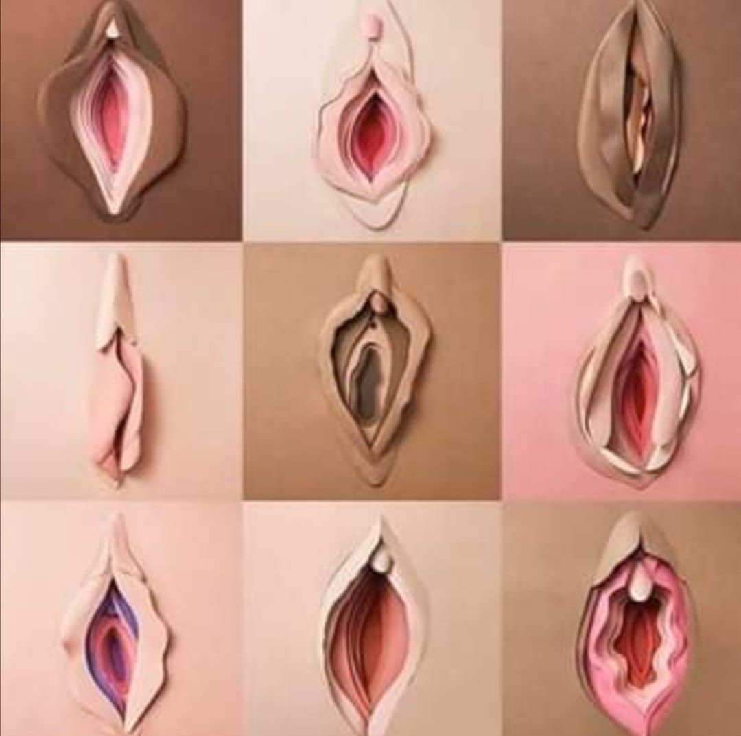 Guadalupe Muñoz Castro-40