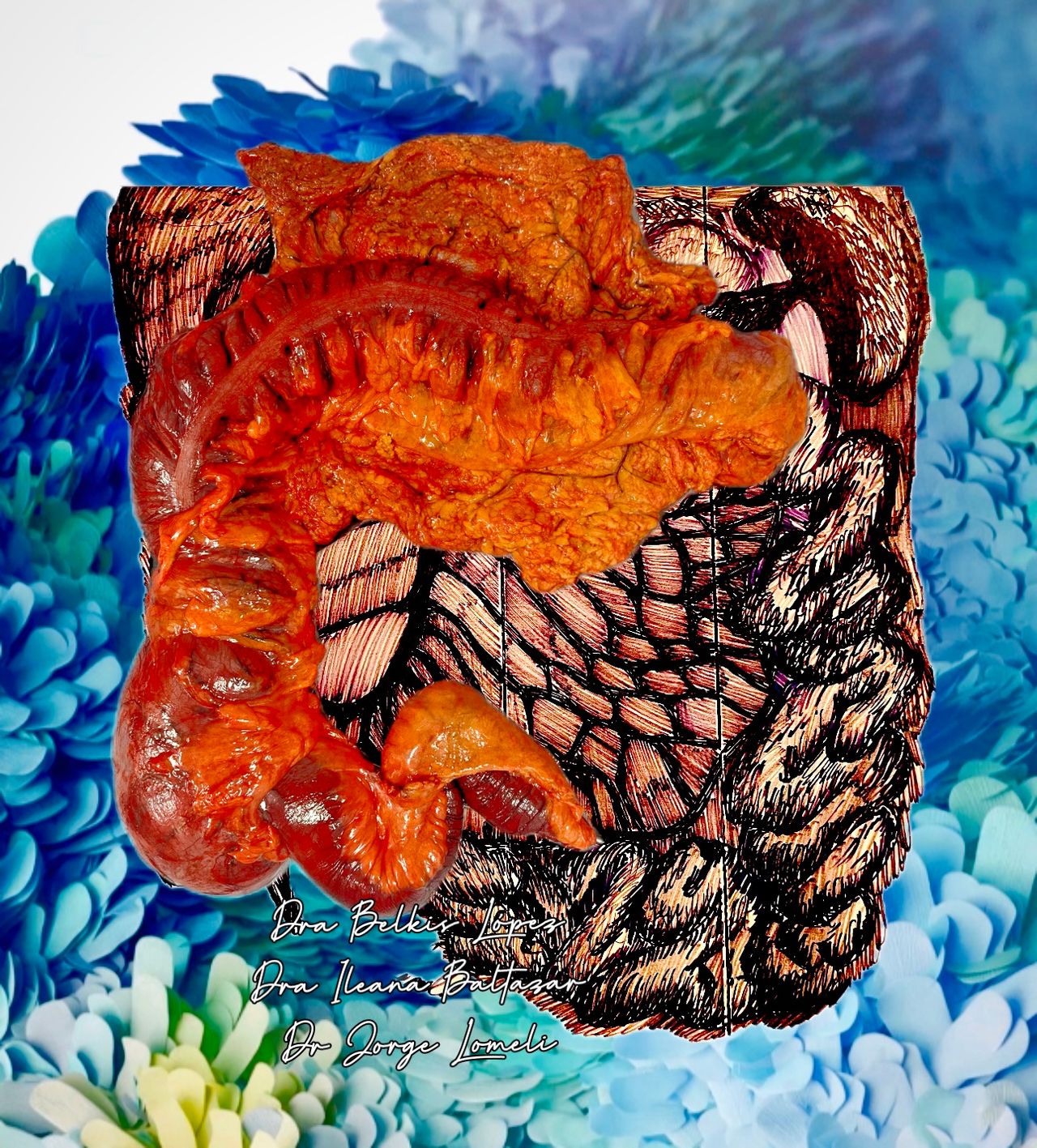 Jorge Antonio Lomeli Muñoz-12