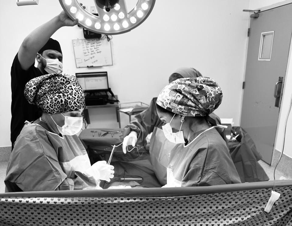 Dulce Anabel Jarquin Arango-31