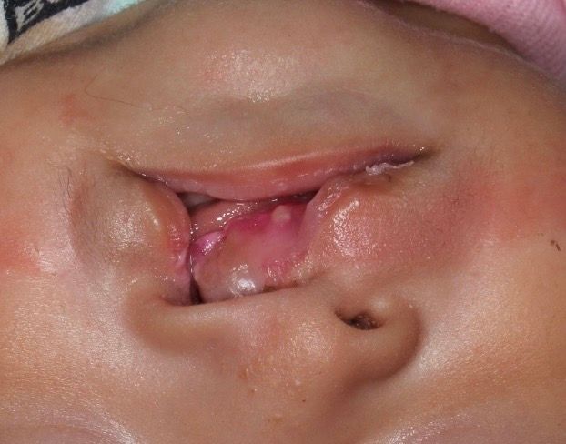 Diego Alan Cardiel Caraveo-4