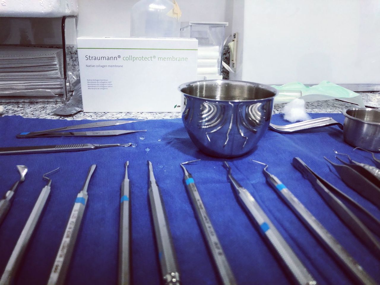 María Guadalupe García Figueroa-11