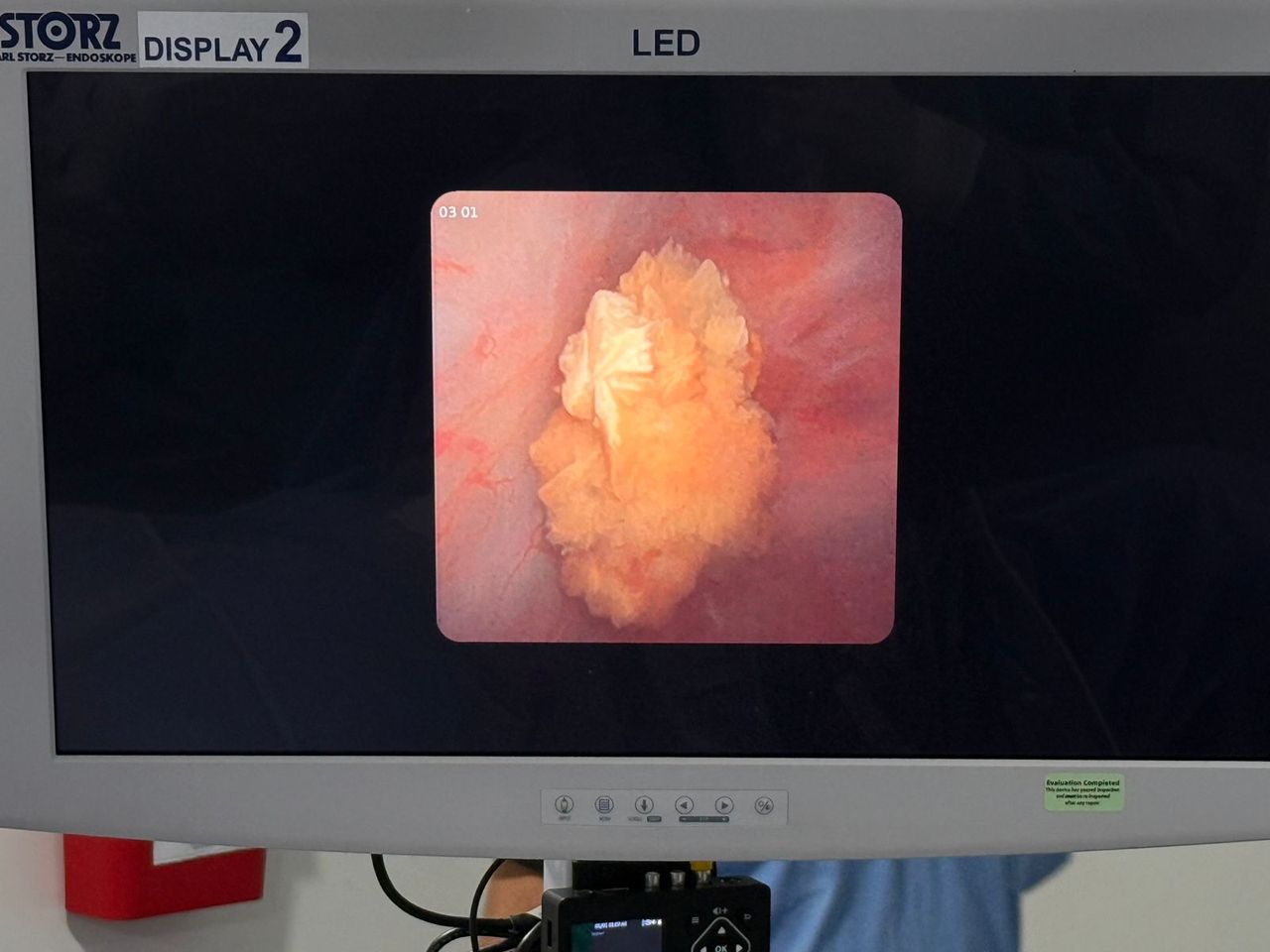 Luis Alberto Gutierrez Martinez-0