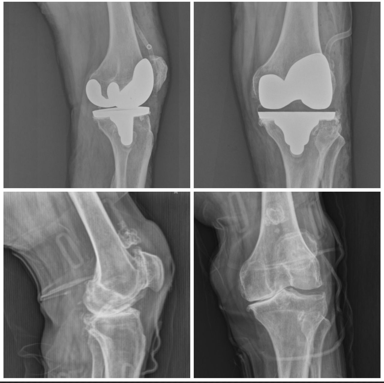 Carlos Tapia Hernández-4