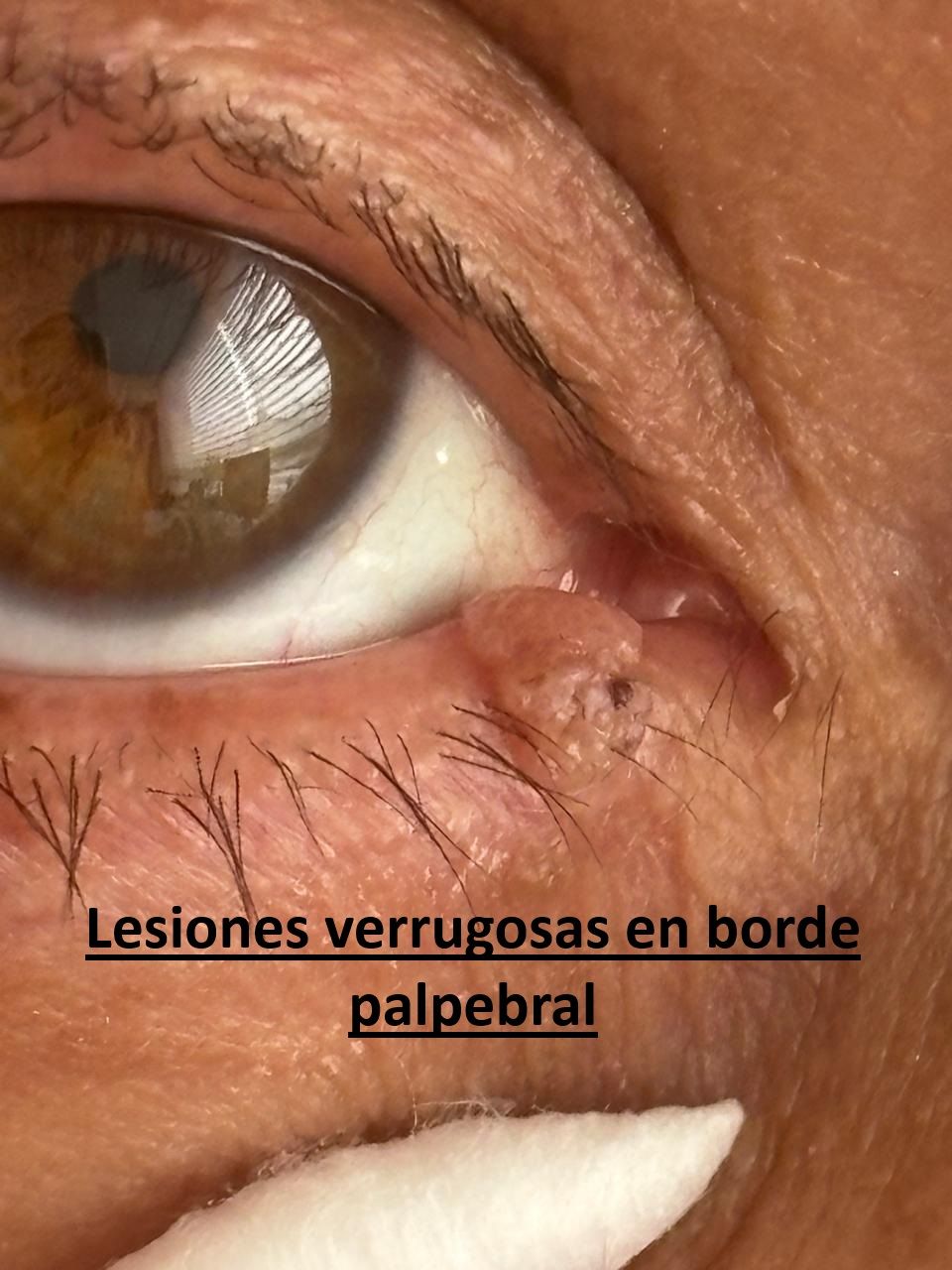 Andrea Cárdenas González-0