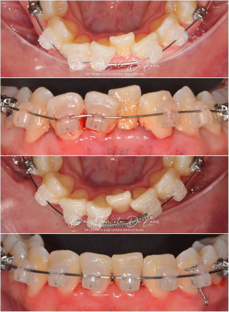Marcela C. De León Martínez-17