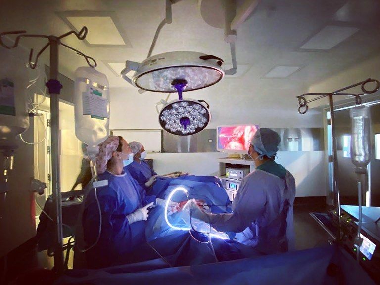 Blanca D. Rivas Villanueva-3