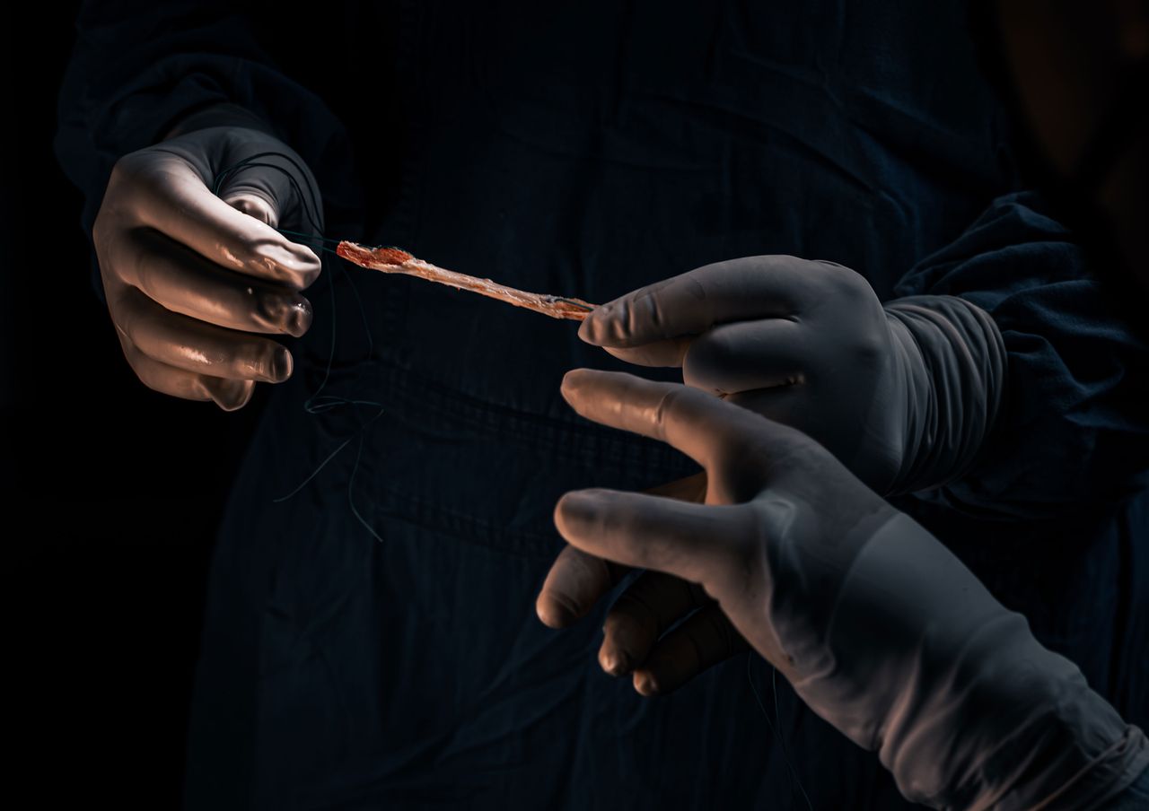 Gustavo Cayetano Baez-7