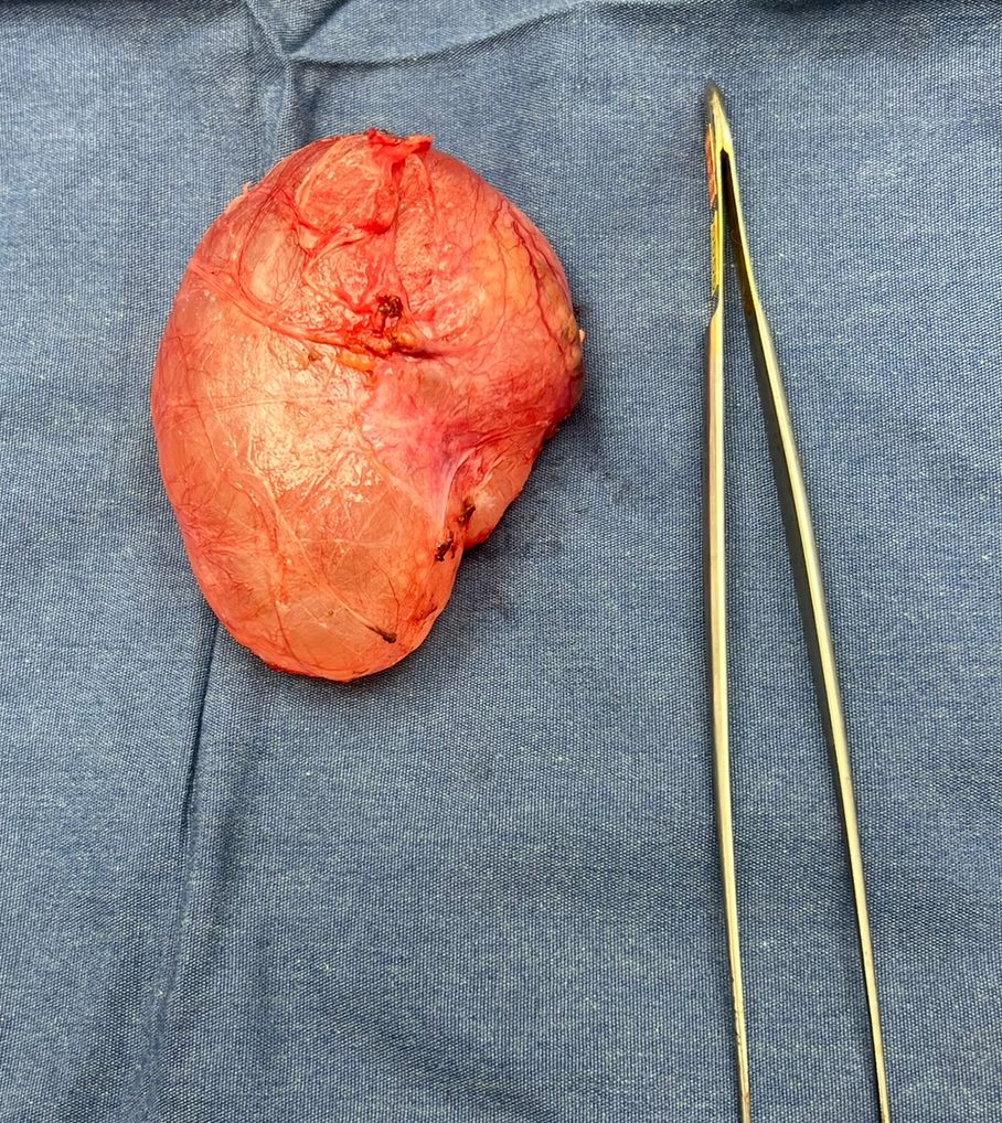 Marco Antonio Sillas Martínez-24