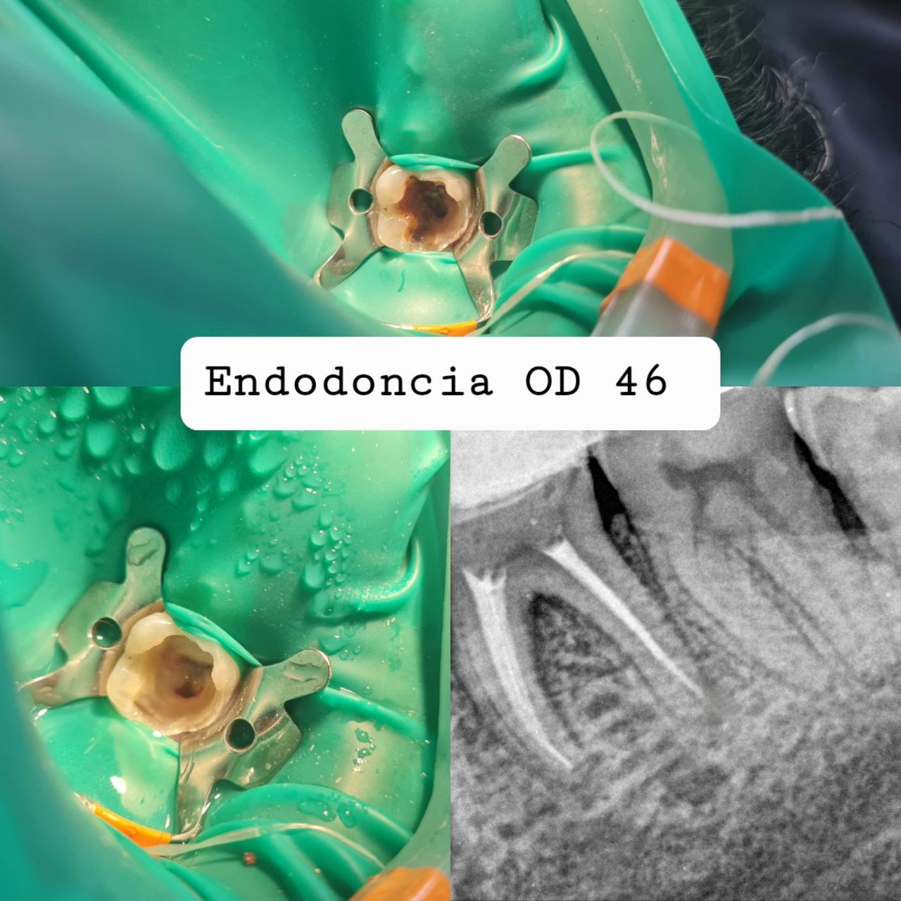 Aimée Quiroz Mendoza-56