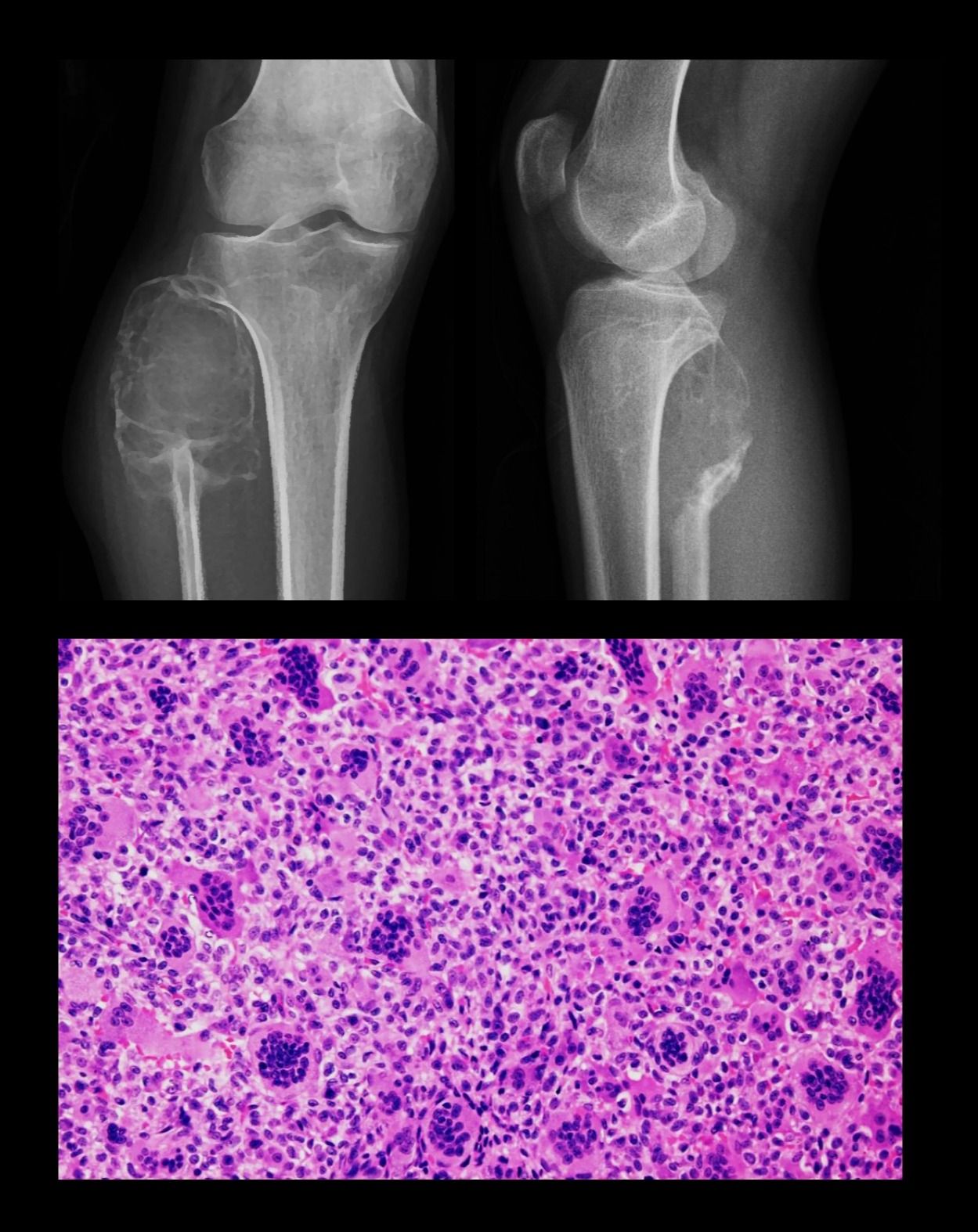 Rafael Juárez Torres-1