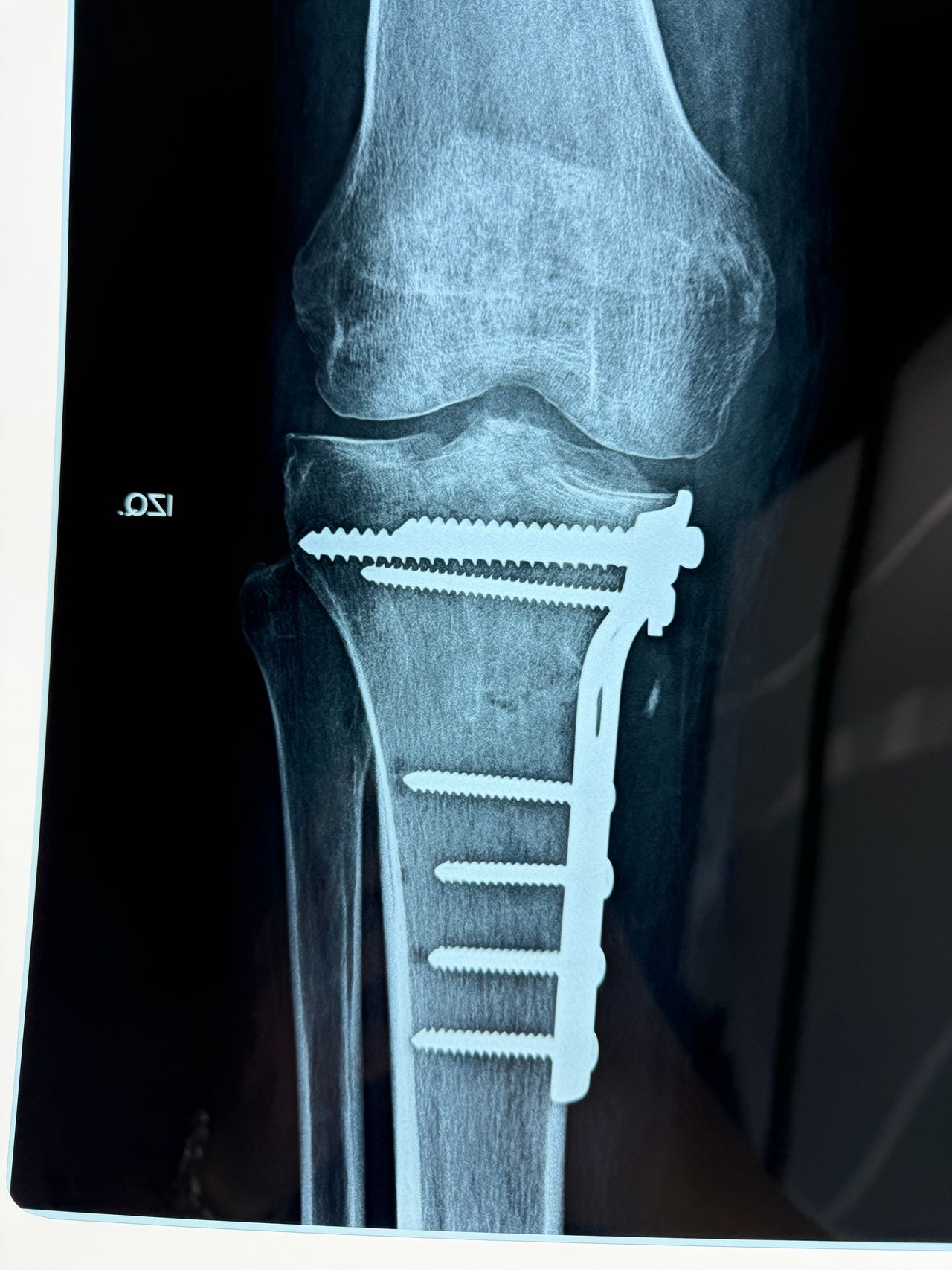 José Miguel Montiel Rojas-4