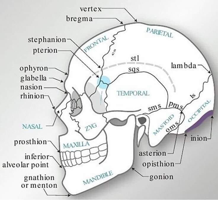 Héctor Francisco Pompa García-8