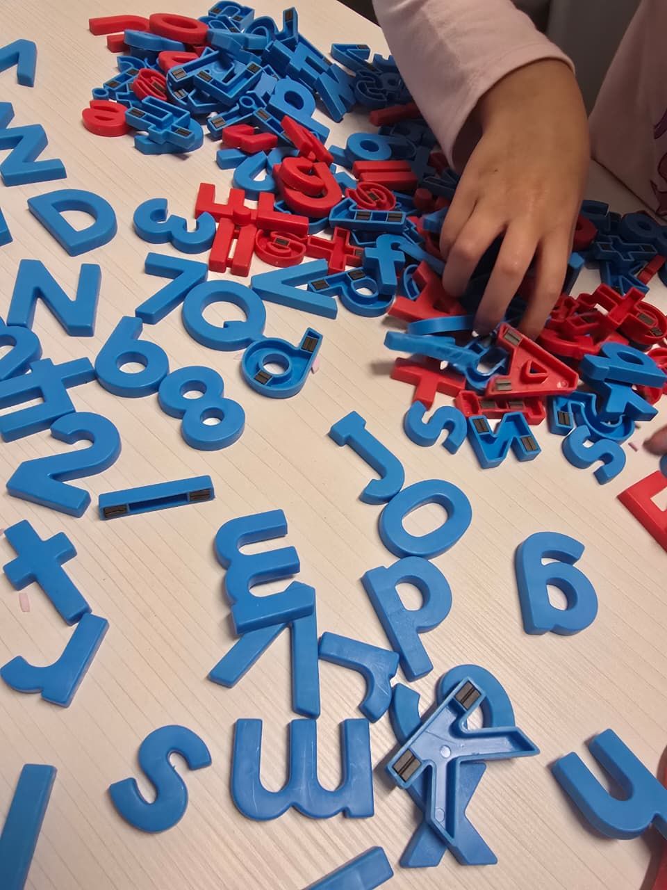 Paula Sofia Torres Orozco-2