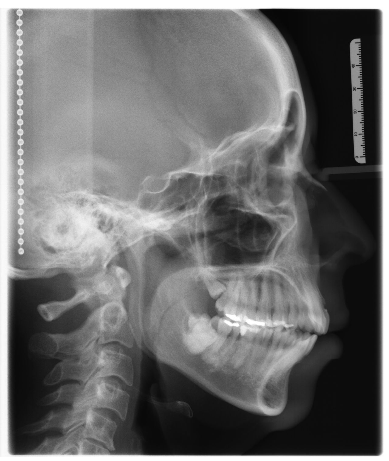 José Sayavedra Jaimes-15