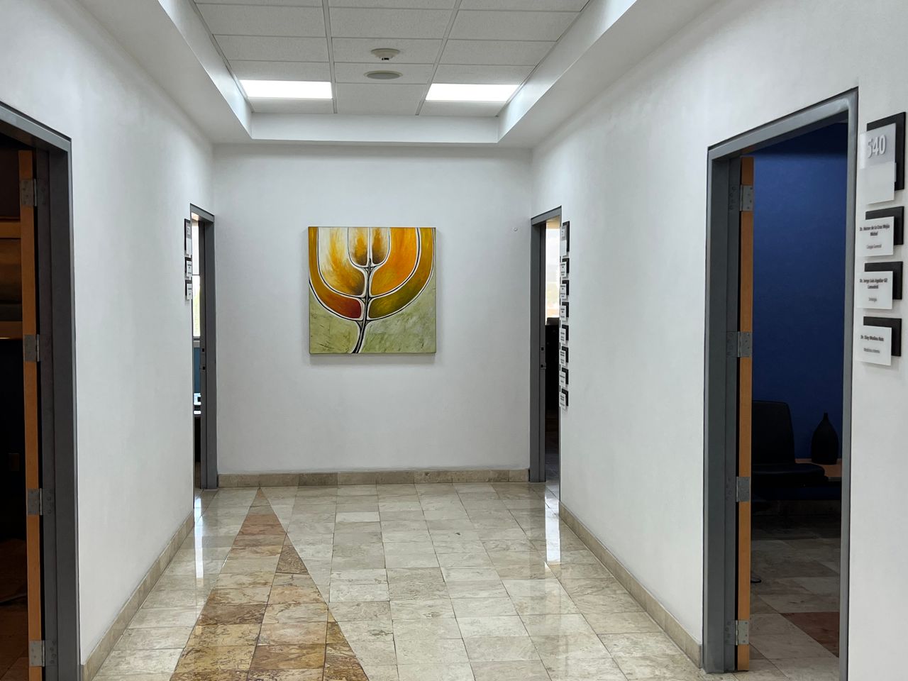 César Felipe Ploneda Valencia-7