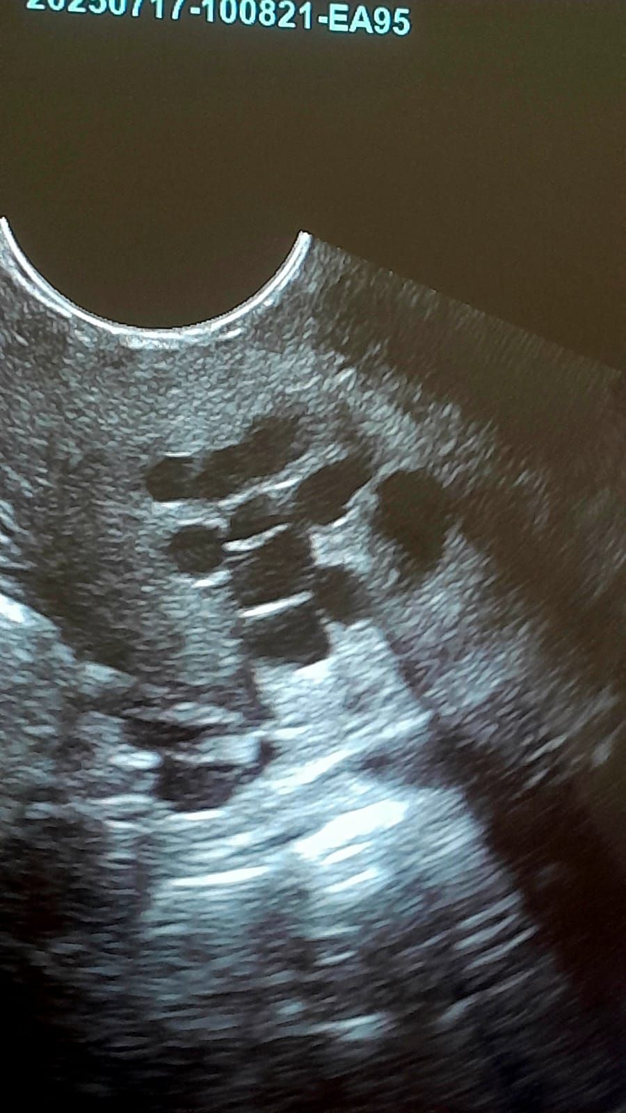 Angélica Berenice Romero Domínguez-2