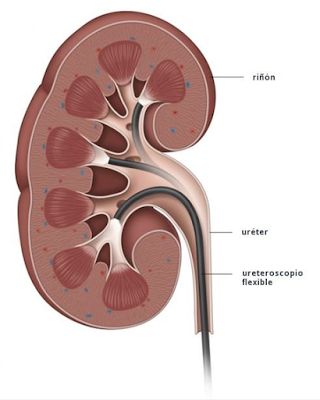 Eric Misael Beas Pérez-12