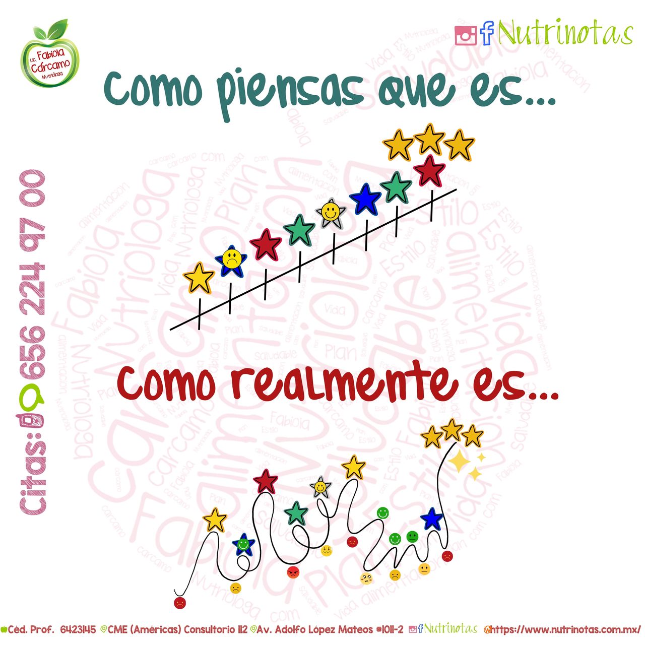 Fabiola Carcamo Jiménez-2