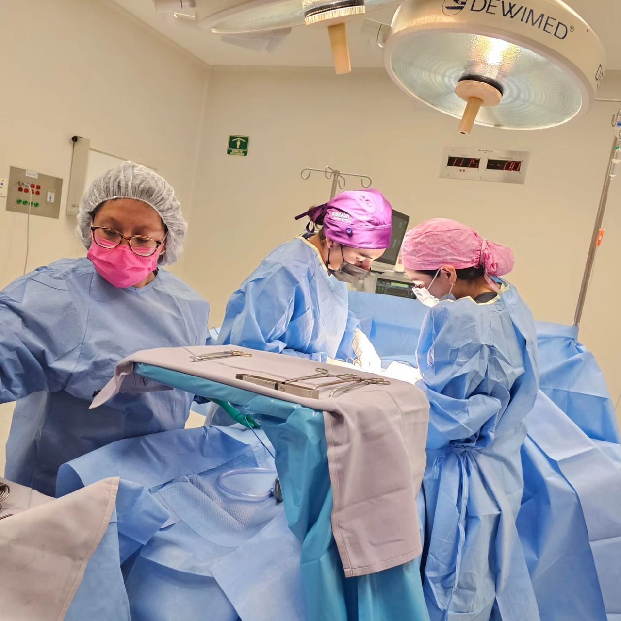 Nancy L. Roman Estrada-34