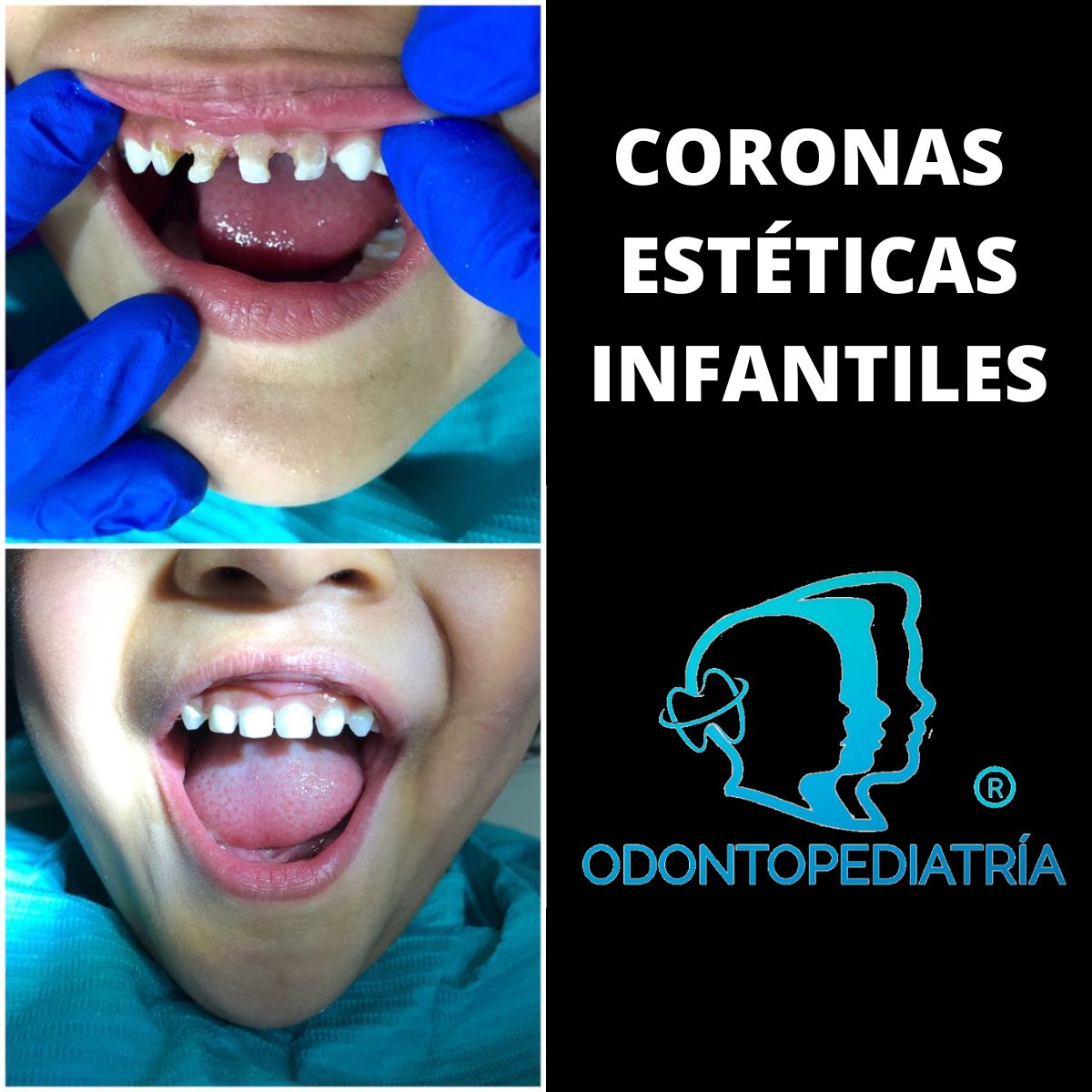 Luis Fernando Galicia Chacón-3