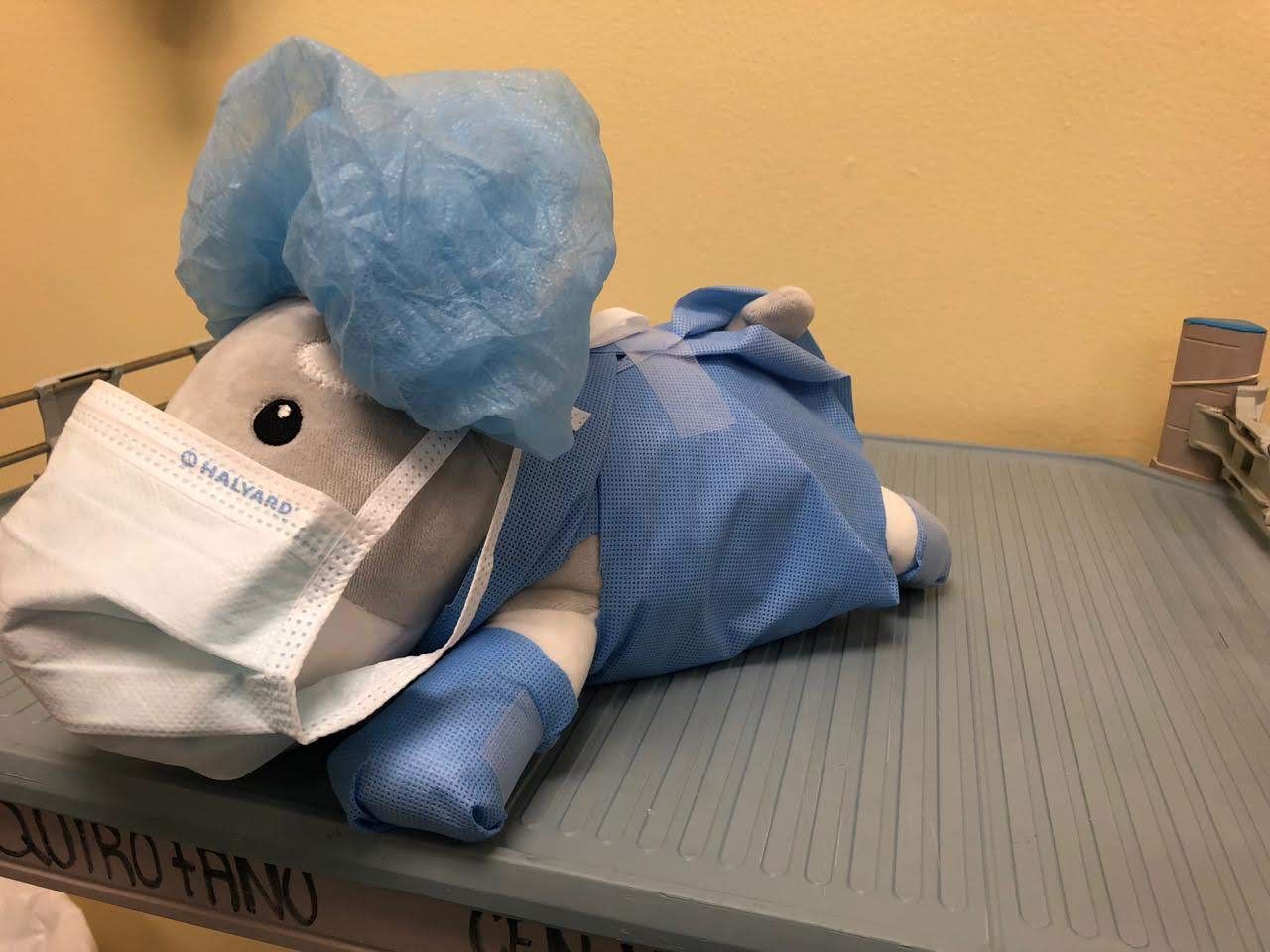 Cristina Viridiana Lemus Cruz-1