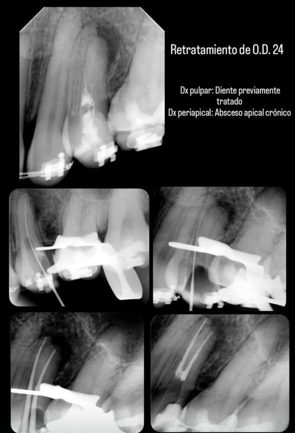 María De Lourdes Aquino Quinto-2