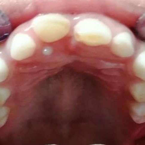 Luis Fernando Galicia Chacón-19