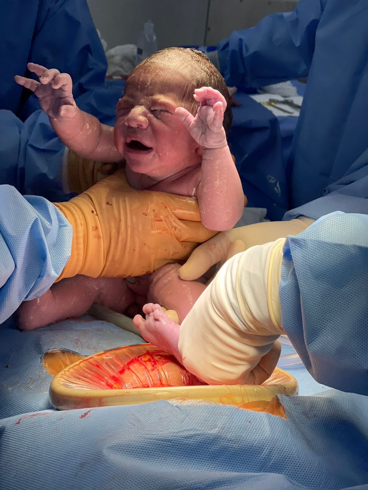 Luis Miguel Campos Olmedo-18