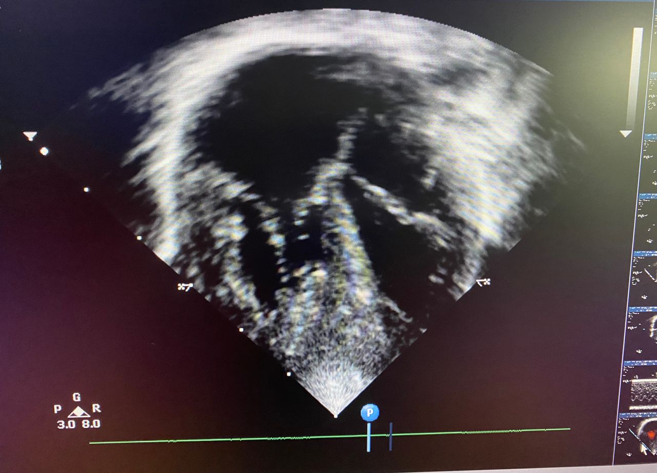 Vanessa Cruz Rodríguez-7