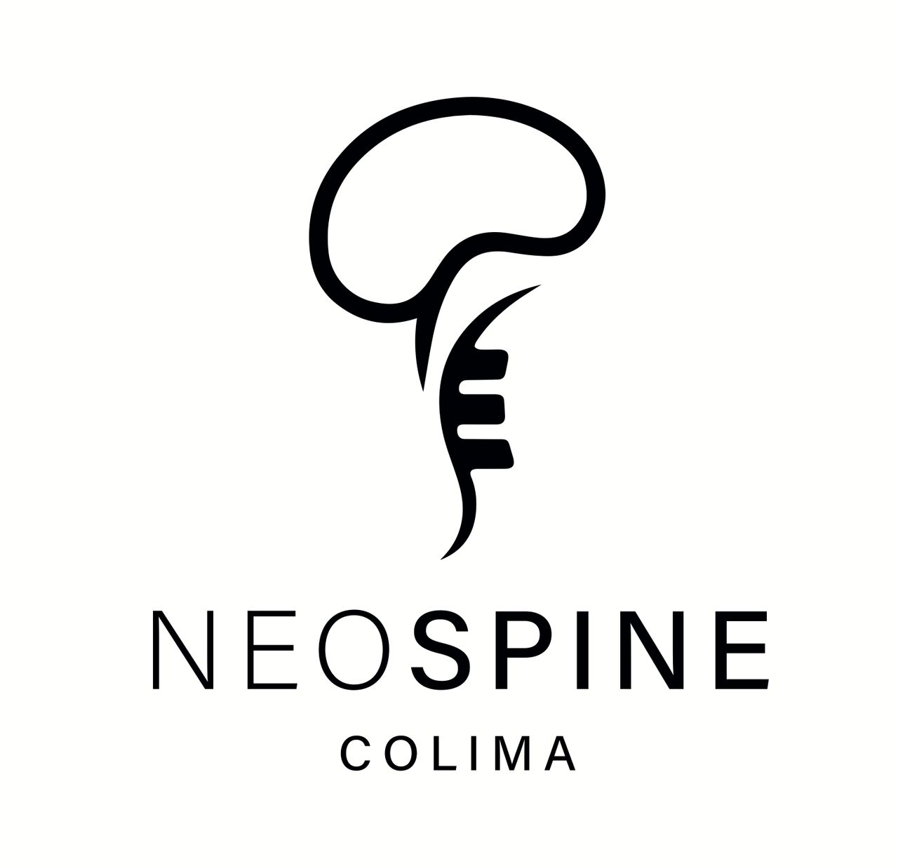 Víctor Hugo Puga Salcido-0