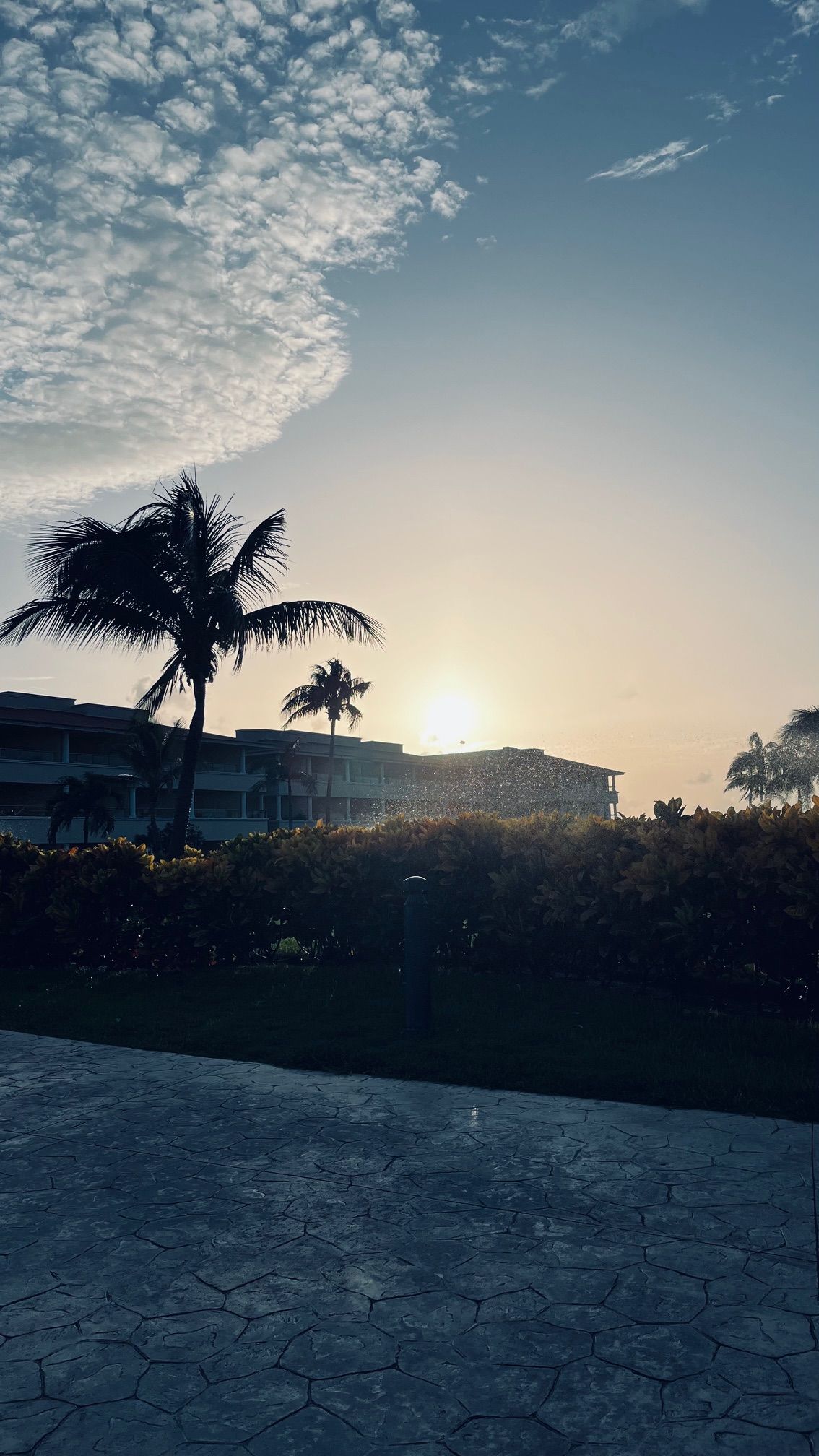 Horacio Contreras Colín-27