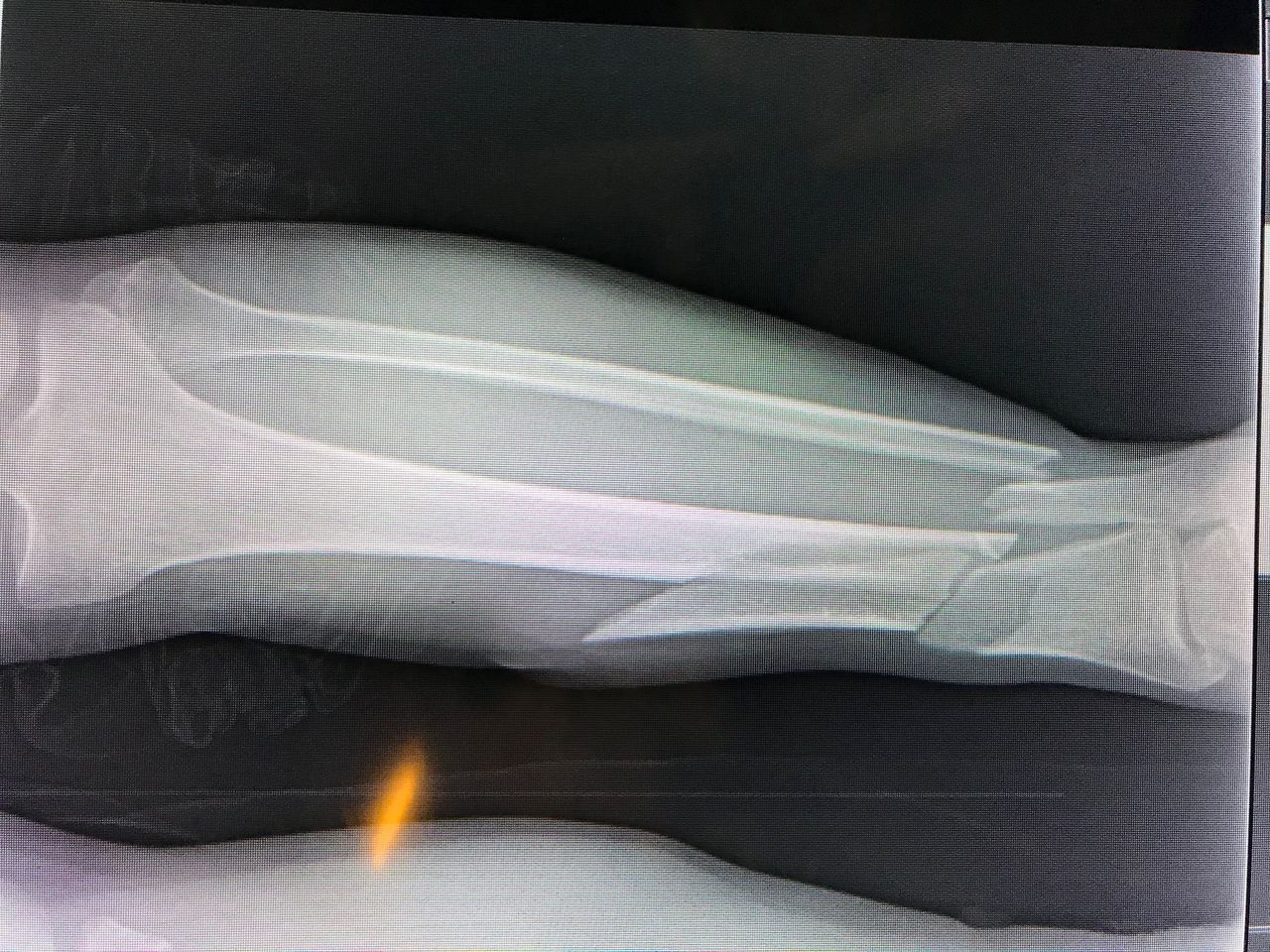 Julián Hernández Anaya-5