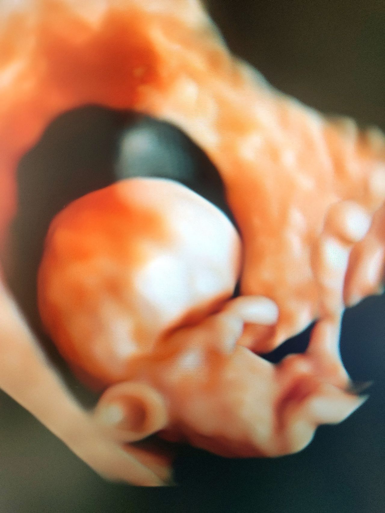 José De Jesús Guzmán Llamas-7